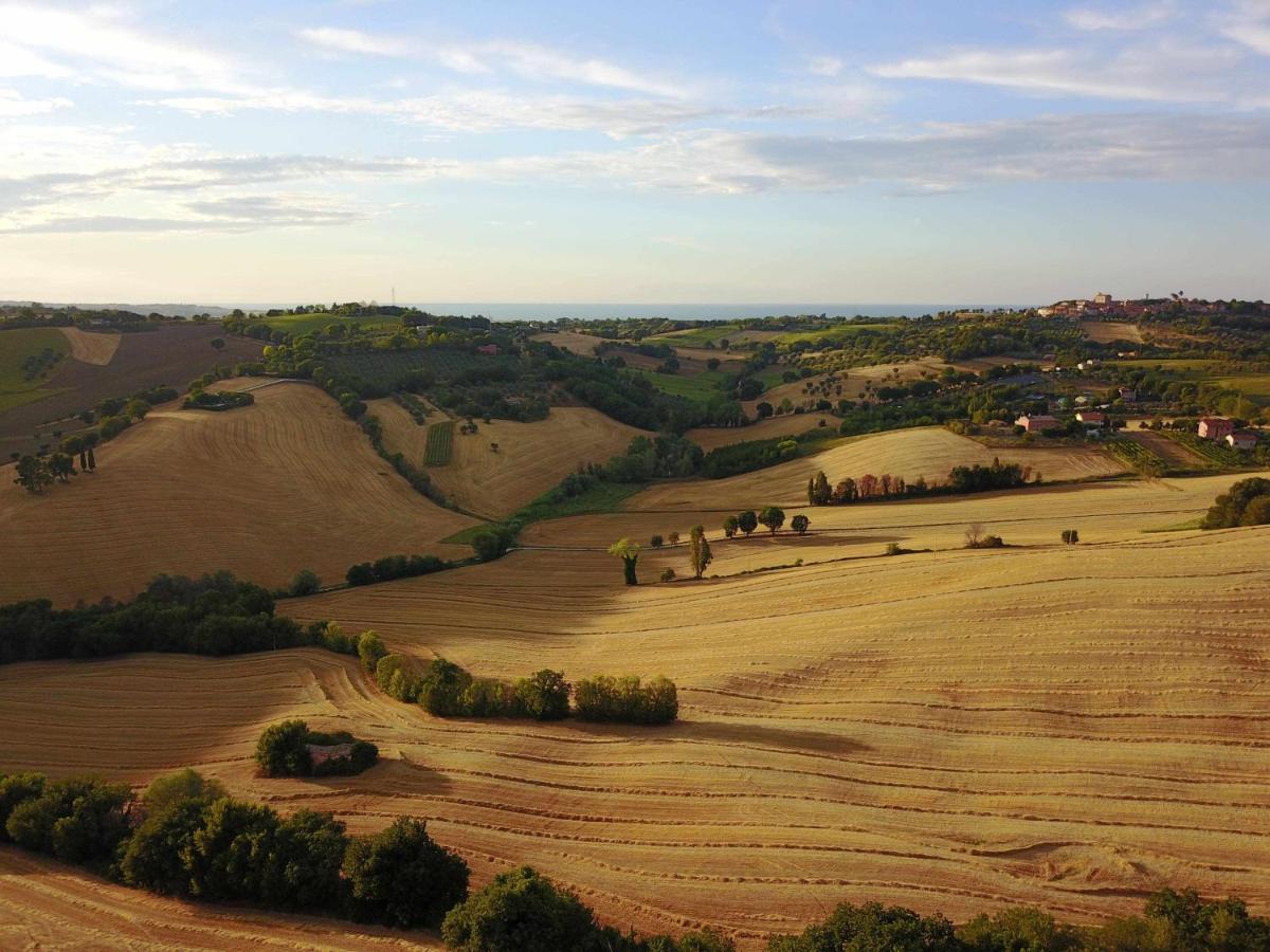 La Meriggia Agriturismo- Ampio Appartamento Con Terrazza Esclusiva Ancona Kültér fotó