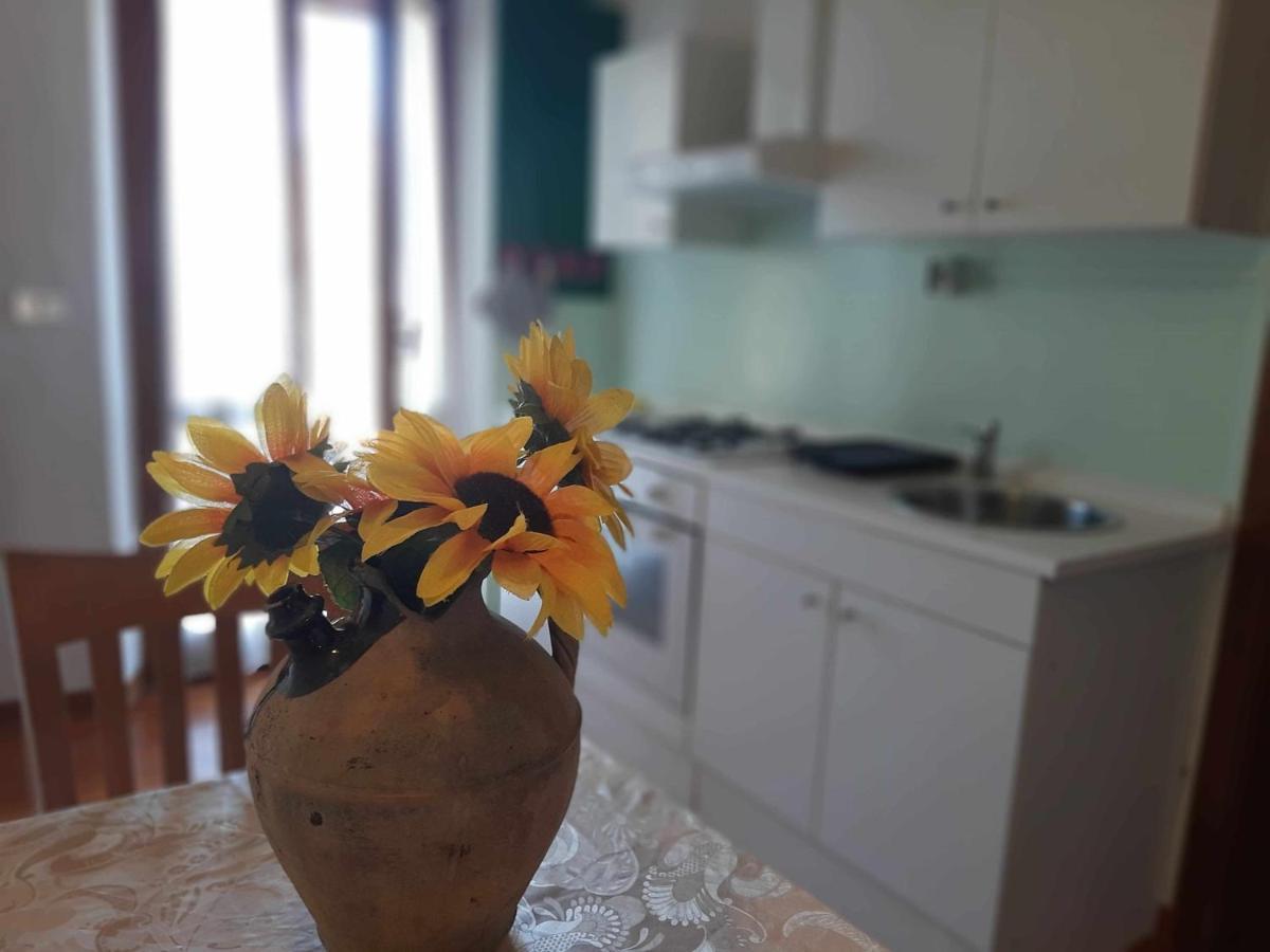 La Meriggia Agriturismo- Ampio Appartamento Con Terrazza Esclusiva Ancona Kültér fotó