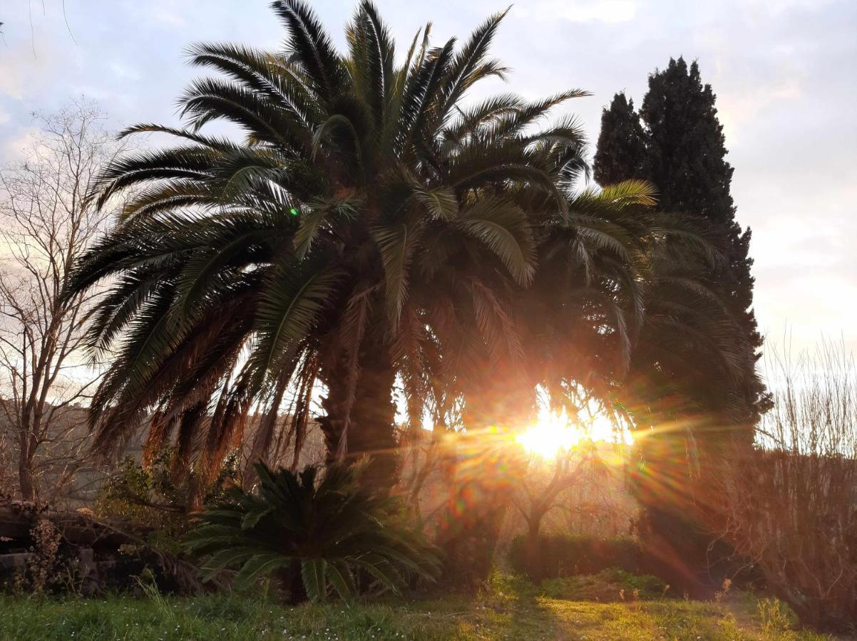 La Meriggia Agriturismo- Ampio Appartamento Con Terrazza Esclusiva Ancona Kültér fotó