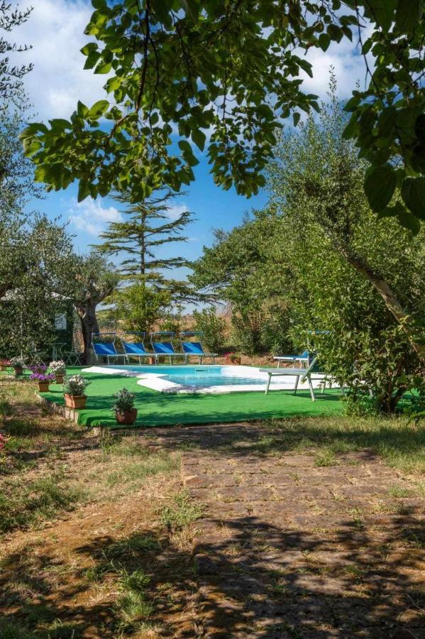 La Meriggia Agriturismo- Ampio Appartamento Con Terrazza Esclusiva Ancona Kültér fotó